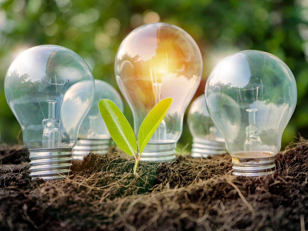 Investition erneuerbare Energien Chancen bei Investitionen in erneuerbare Energien